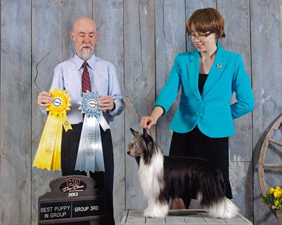 Cache | AmCH, CanCH, LuxCh, SeCH Curlious Cache Is King CGN