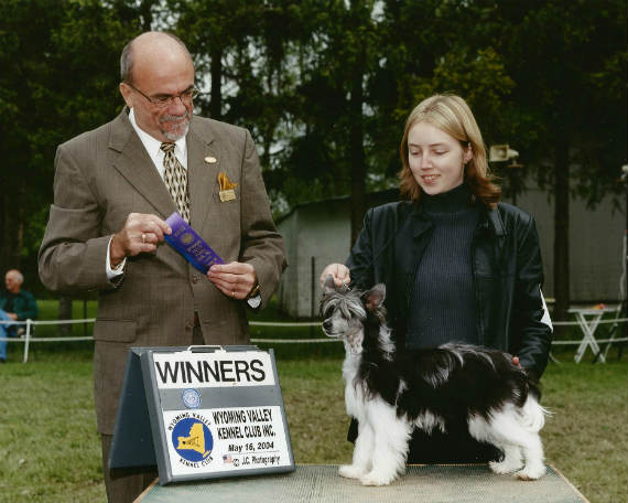 Dylan | AmCH, CanCH, U-CH Dokkum Dance In The Dark, CGN