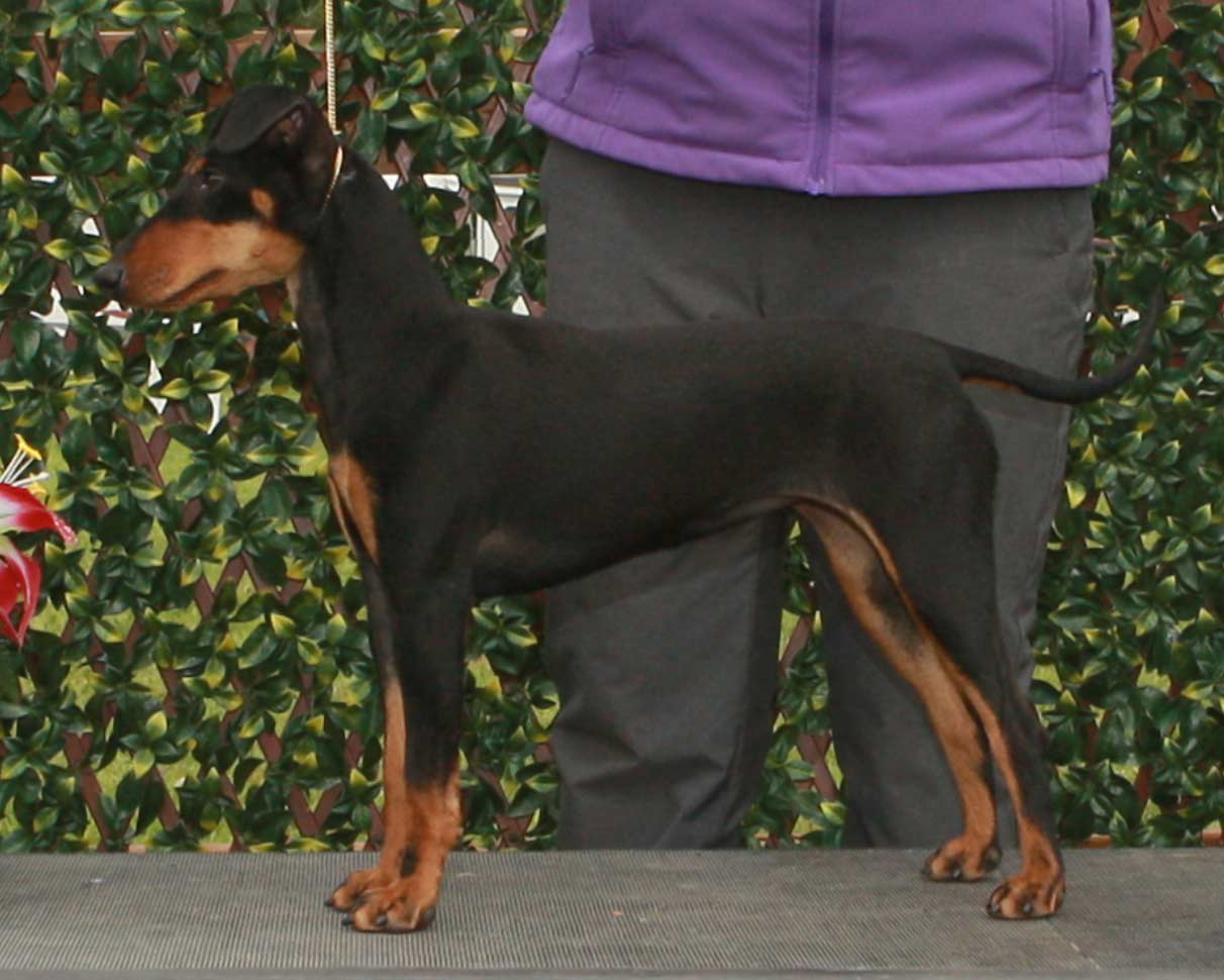 Iris's first point at 9mo old | Tango's Long Time No See FITB