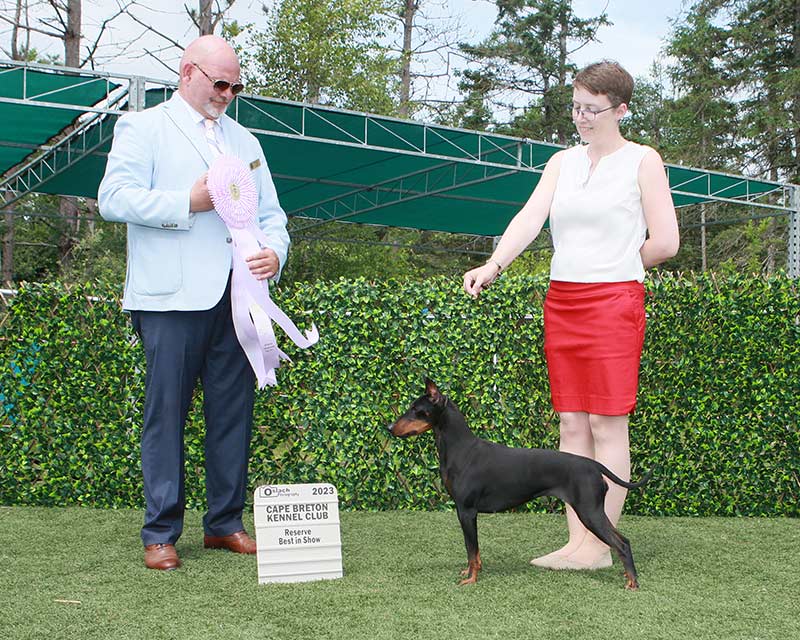 Rey winning Reserve Best in Show, owner-handled by Kate Barnett, judge Raymond Yurick | RBIS GCHB Raintree Earendil I Can Handle Myself RA VB ETD FITG CHOF CROM